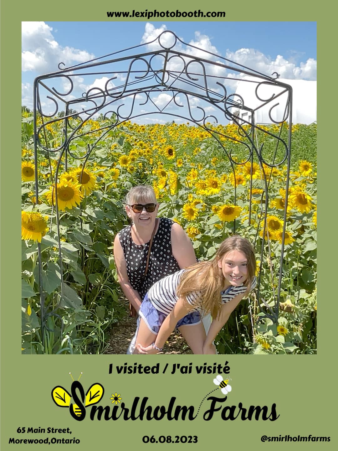 Soak Up The Sunflowers 8 — Soak Up The Sunflowers 2023