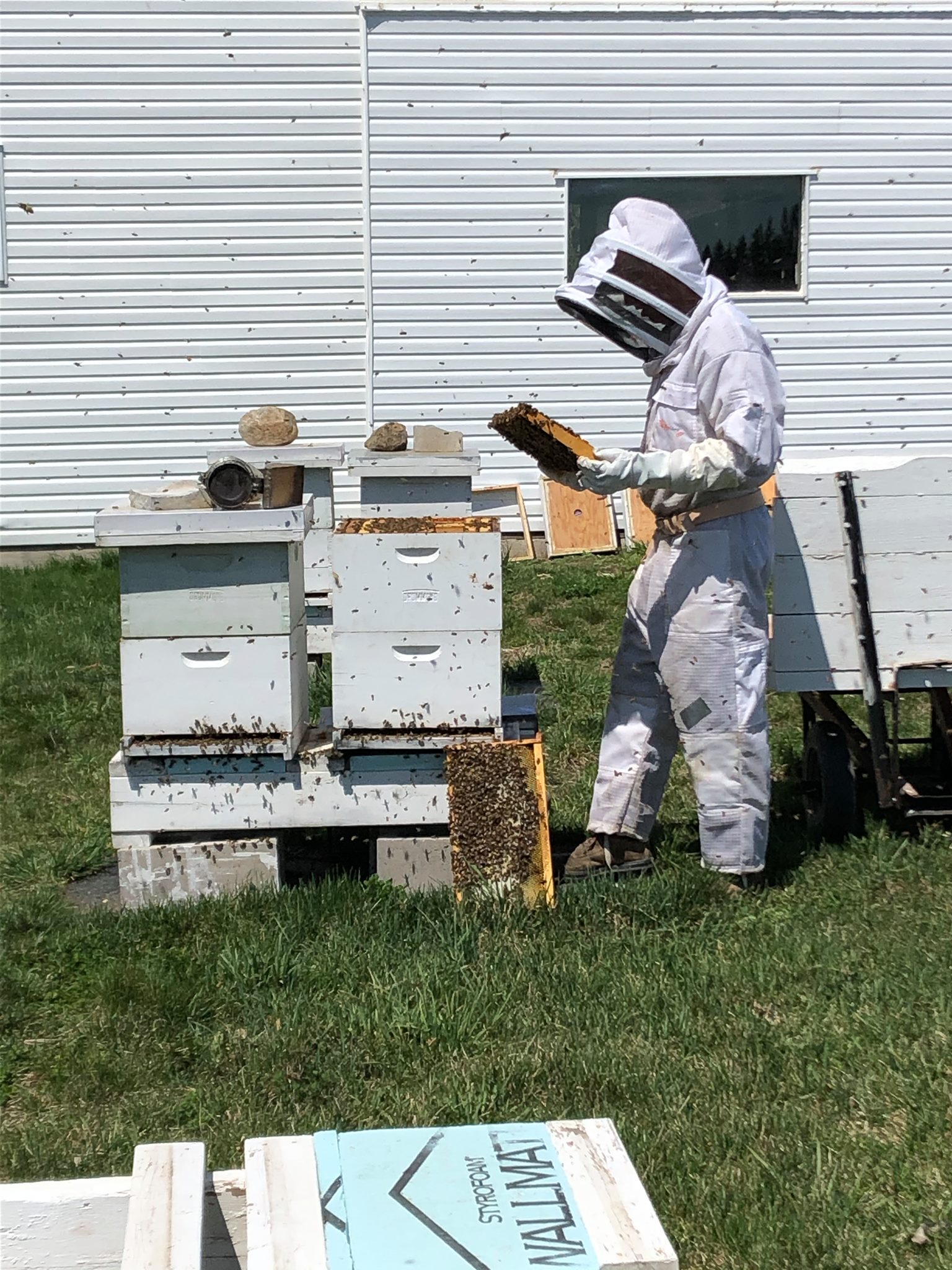 The Farm 10 — The Farm
